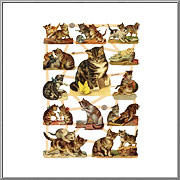 Frisky Cats and Kittens Scrap Picture Sheet EF Germany