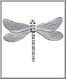 Large Flying Dragonfly - Silver Dresden Foil Paper Die-Cut Trims from Germany