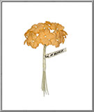 Orange Impatiens Flowers from Korea