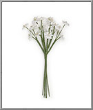 White Baby's Breath paper flowers