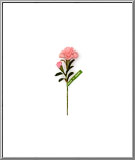 Small Pink Carnations vintage parchment flowers from Japan