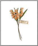 Wild Lilies flower spray Czechoslovakia