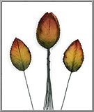 Variegated Fall Leaves - decorative fabric leaves