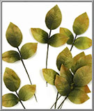 Autumn Rose Leaf Sprigs, vintage fabric leaves from Germany