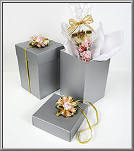 Gift boxes for Carnation Cornucopias