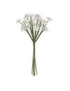 White Baby's Breath spray