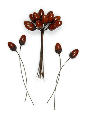 Millinery composition lacquer European acorns