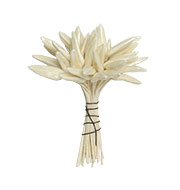 vintage flower stamen made in Germany