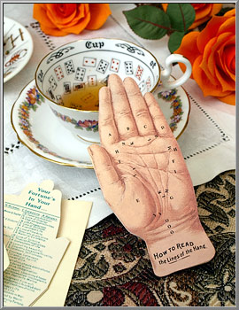 Fortune Telling Palm card