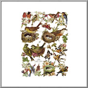 Beautiful Birds and Butterflies scrap picture sheet EF Germany