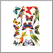 Exotic Birds and Butterflies scrap relief sheet MLP Mamelok England