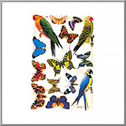 Pretty Parrots and Butterflies scrap relief sheet MLP Mamelok England